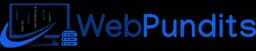 Web Pundits